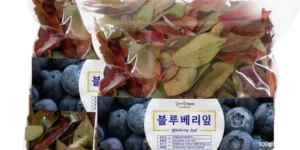 2024 2024 담양 창평 슬로시티 블루베리1kg 추천 제품정보 및 후기