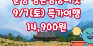 2024년 최고의 상품권 TOP 제품