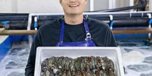 가성비최고 진도 활 전복 100g이상8마리 특가정보